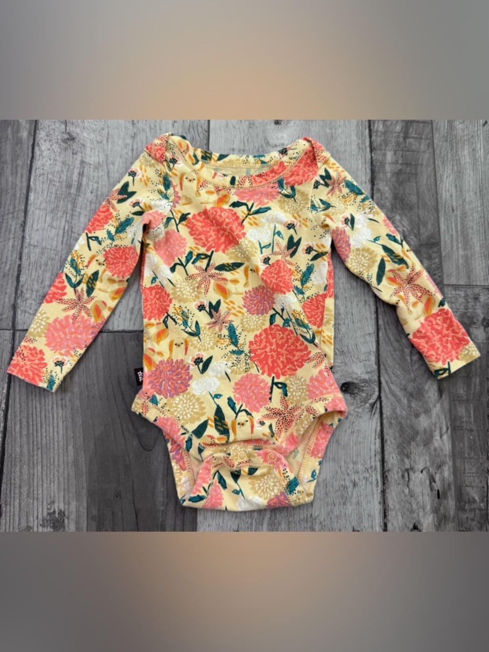 Tea Collection Pink Multicolor Floral Patterned Longsleeve Bodysuit 3-6 Month
